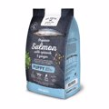 GO NATIVE PUPPY XIRA TROFI SKuLOu – BIOLOGKOS SOLOMOS ME SPANAKI & TZINTZER 800gr
